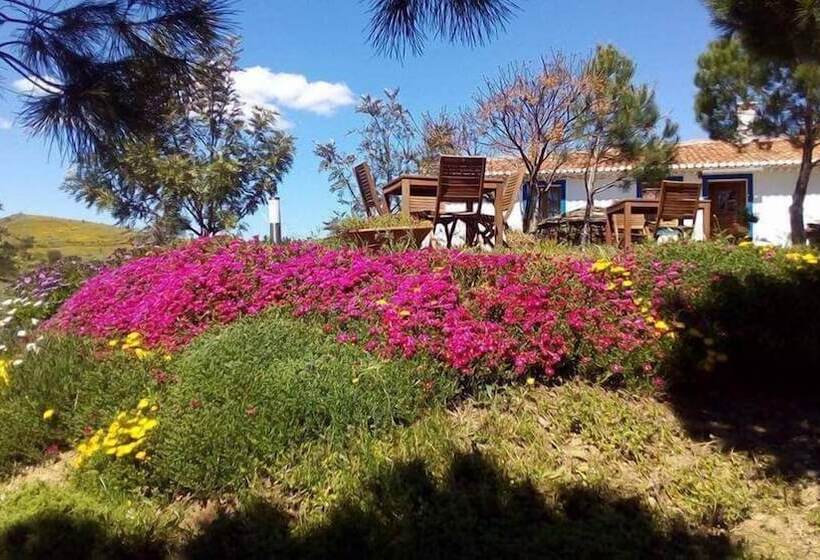 Casas De Campo Do Castro Da Cola