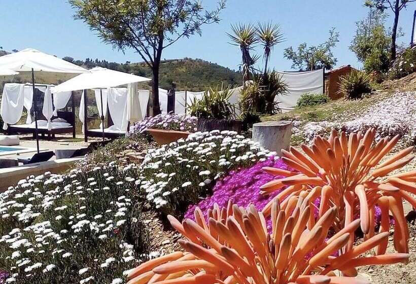 Casas De Campo Do Castro Da Cola