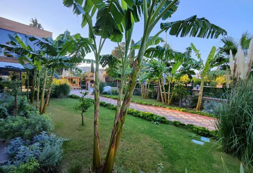 çınar Butik Hotel Bodrum