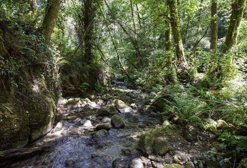 Remarkable 1 Bed Cottage In Arcos De Valdevez