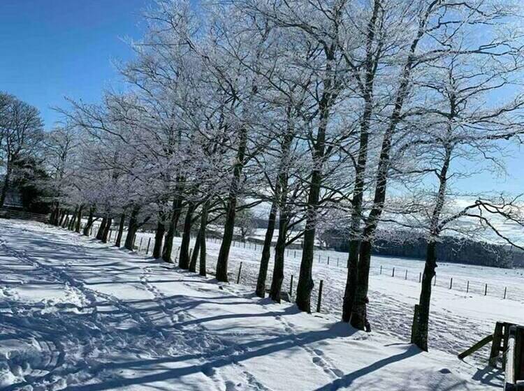 Glen Cottage 8 Fenton Hill Farm