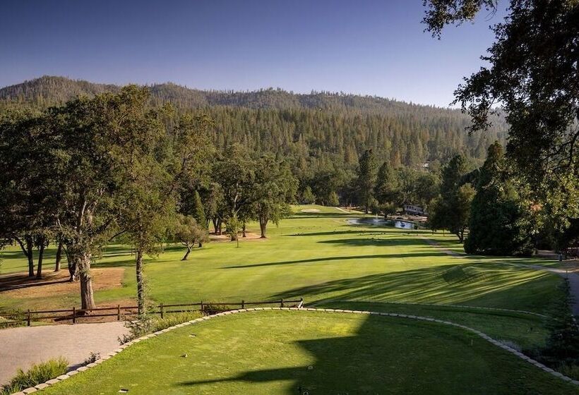 Grizzly Bear Lodge Rustic Cabin By Yosemite Region Resorts