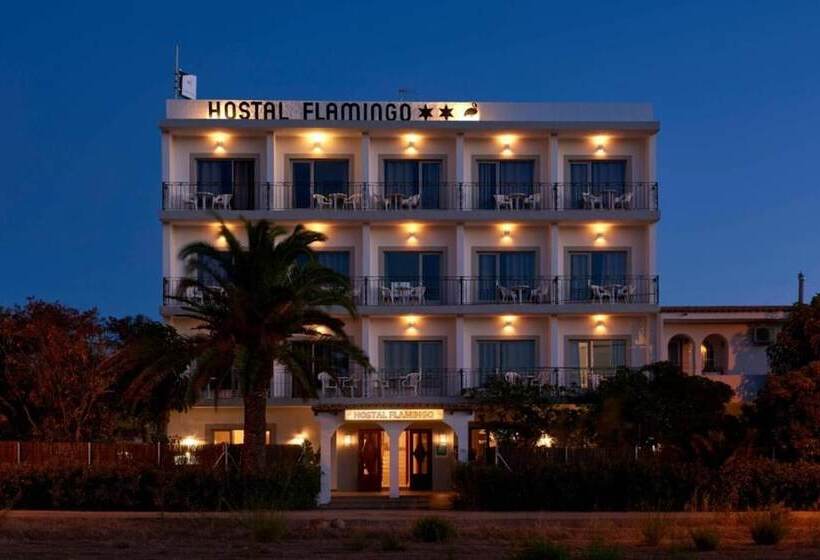 客栈 Flamingo Ibiza