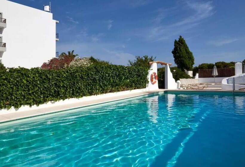 客栈 Flamingo Ibiza