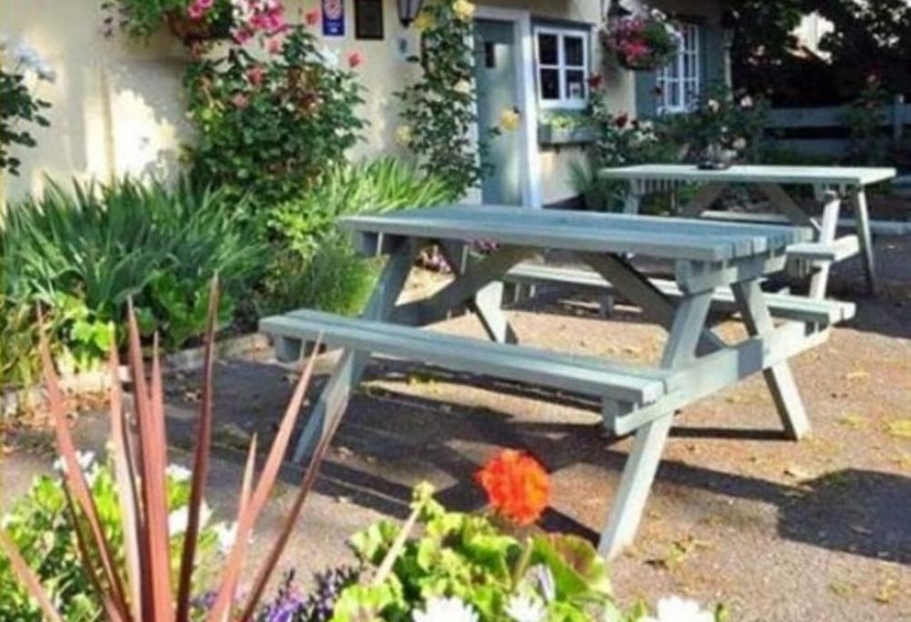 客栈  John Barleycorn