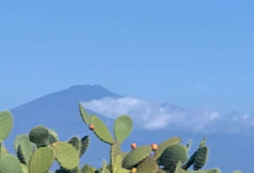 客栈  Sbarcatore Dei Turchi   Dimore