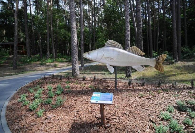 בית מלון כפרי Ajaks