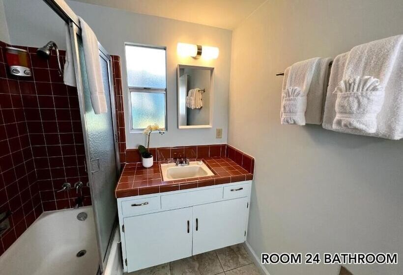 فندق Atrium Palm Springs   Gay Men S Resort