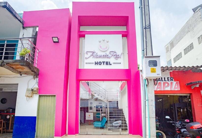 酒店 Ayenda Alameda Real