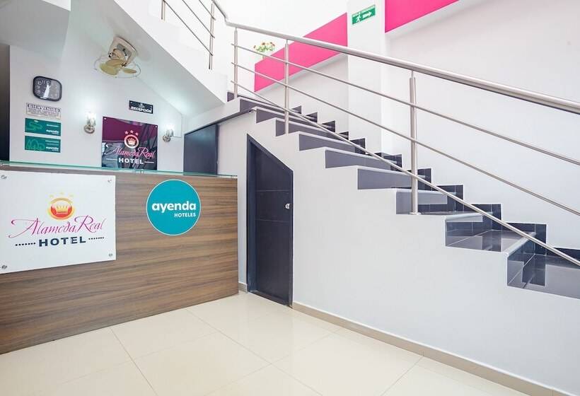 酒店 Ayenda Alameda Real