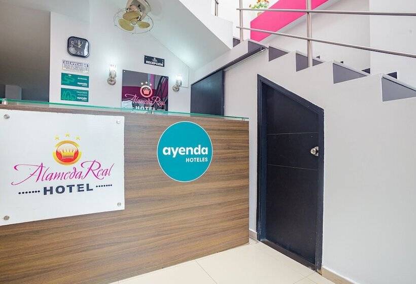 酒店 Ayenda Alameda Real