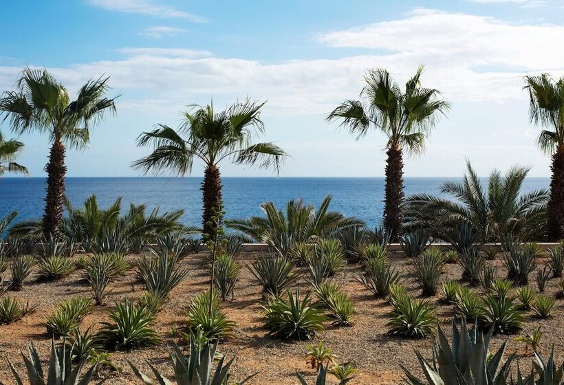 酒店 Casa Maat At Jw Marriott Los Cabos Beach Resort & Spa