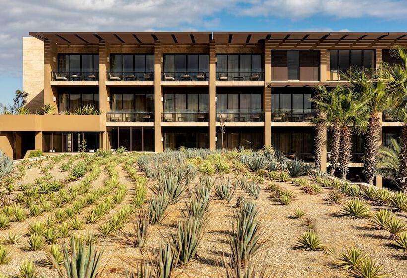 酒店 Casa Maat At Jw Marriott Los Cabos Beach Resort & Spa