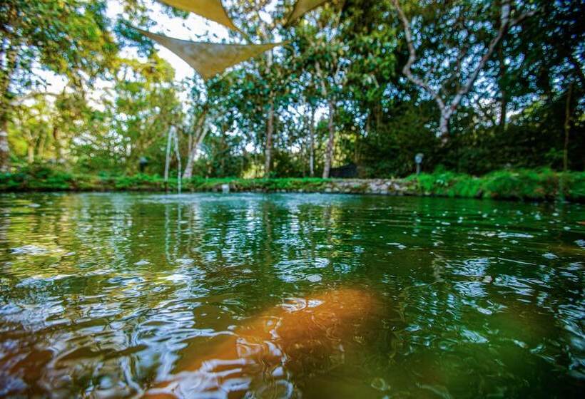 בית מלון כפרי Casa Madre Tierra