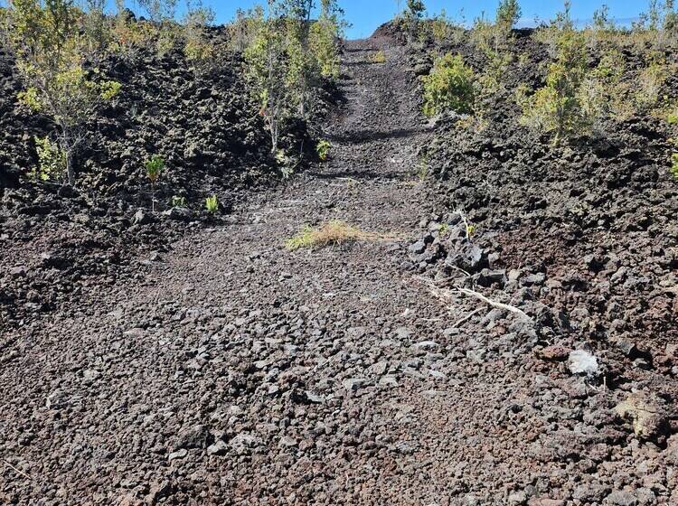 فندق Dry Camping Oceanview Bring Camping Gear