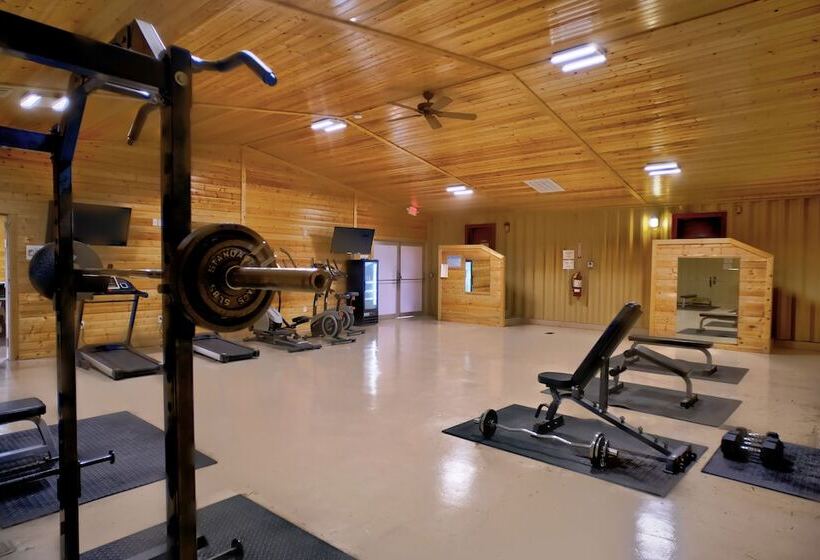 فندق Ellipse Global Lodge