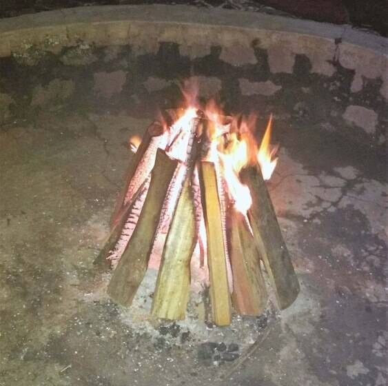 فندق The Greenwood Resort Chikmagalur   Escape To Tranquil Mountain Views