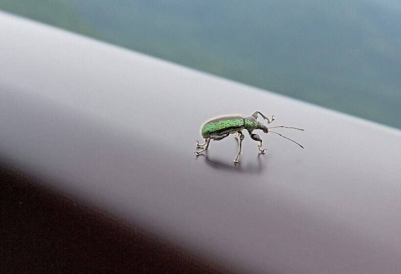 هتل Holiday Plaza Shigakogen