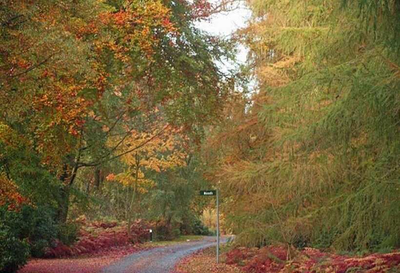 酒店 Hollicarrs Holiday Park   Hares Leap