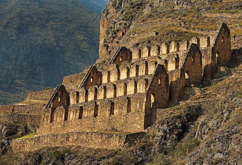 בית מלון כפרי Las Qolqas Eco Resort