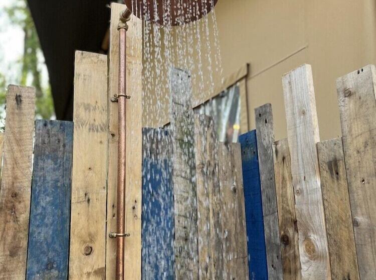 酒店 Lion King Safari Tent