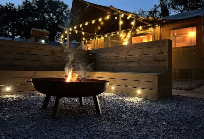 酒店 Lion King Safari Tent