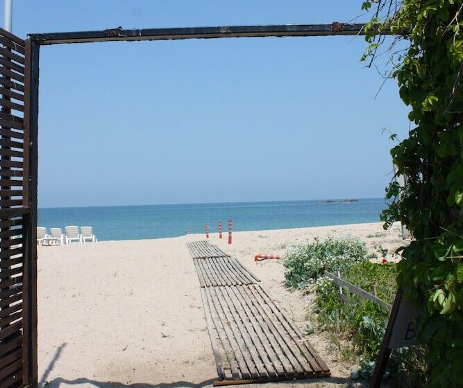 ホテル Mad Sea Beach