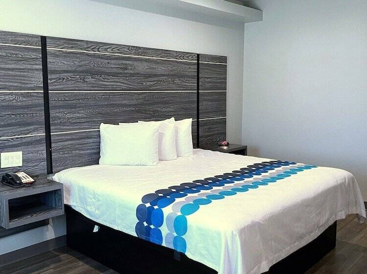 فندق Palaceinn Arcola