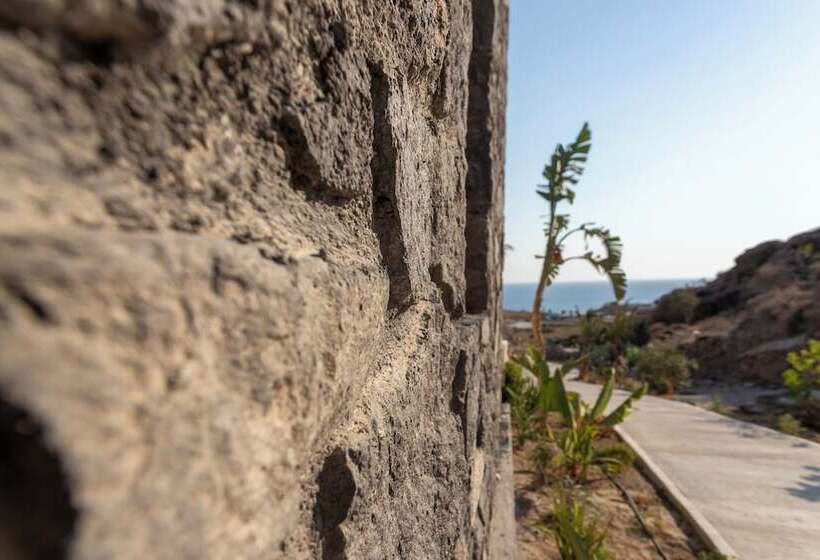 호텔 Palm Island Suites