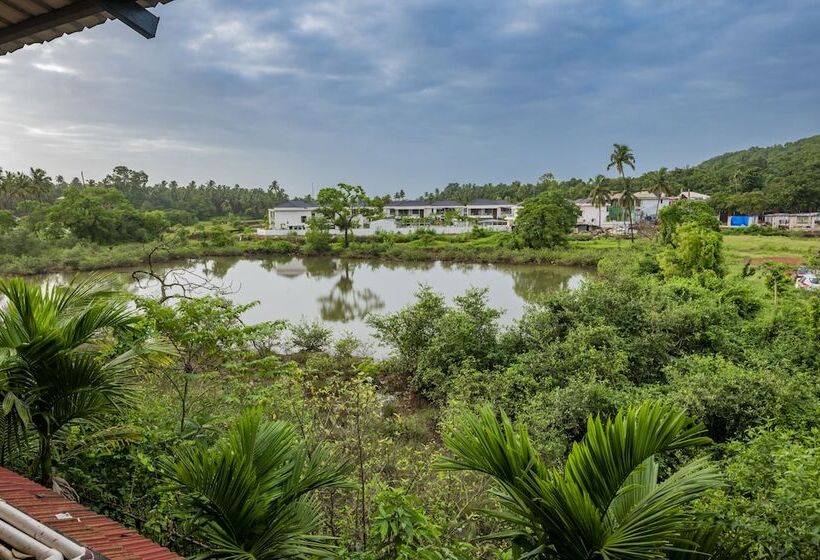 Отель Rosa Salvo