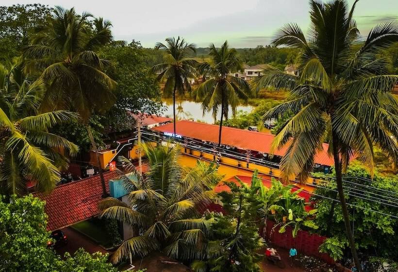 Отель Rosa Salvo