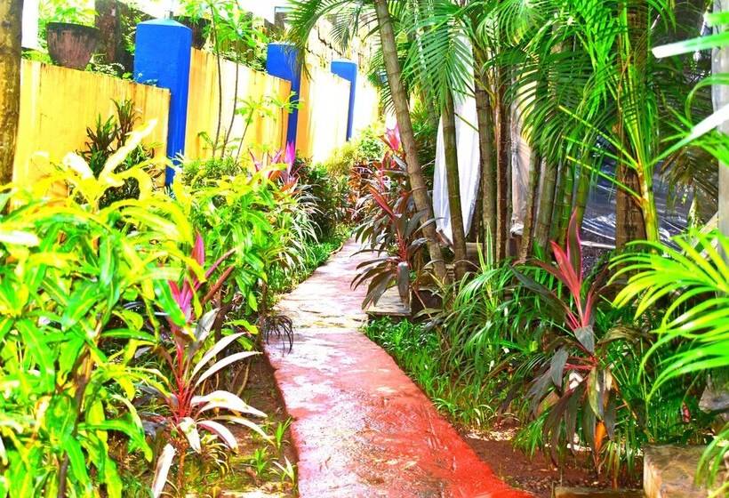 Отель Rosa Salvo