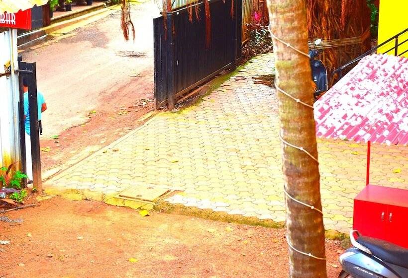 Отель Rosa Salvo