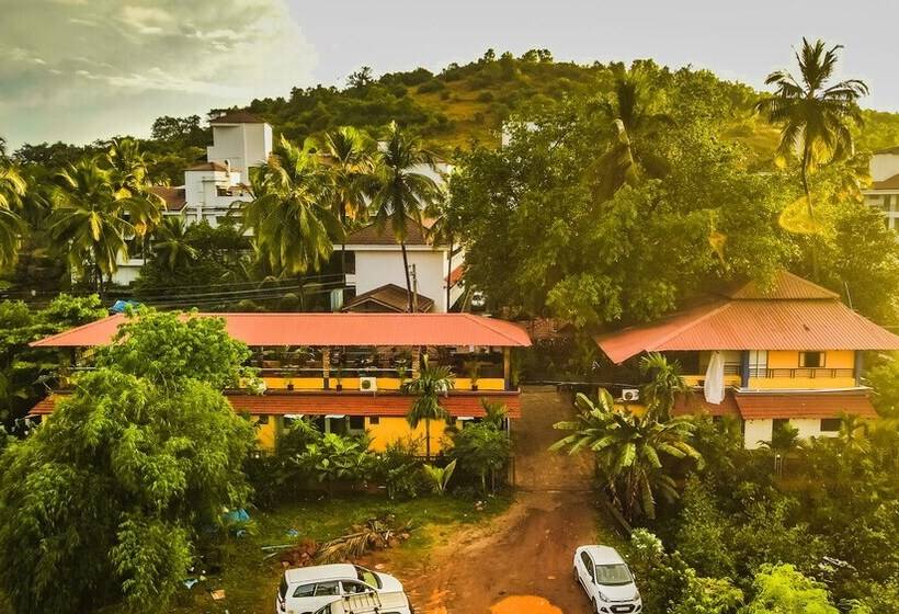 Отель Rosa Salvo