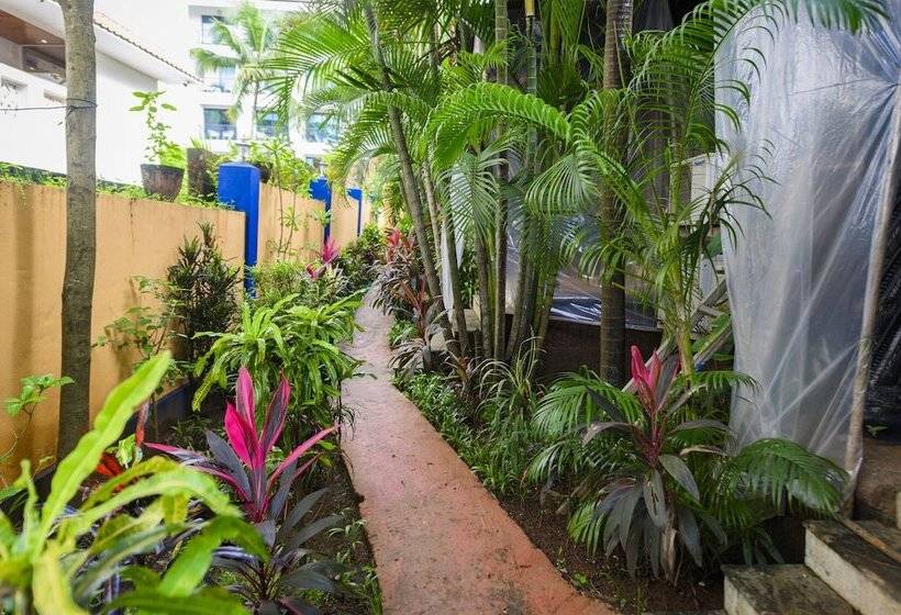 Отель Rosa Salvo