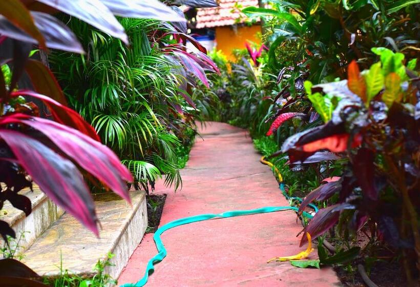 Отель Rosa Salvo