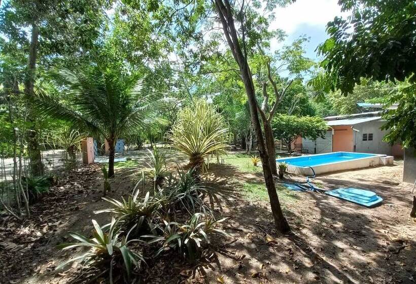 فندق ريفى Fazenda Vila Flor