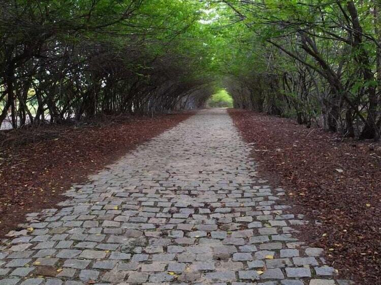 فندق ريفى Fazenda Vila Flor