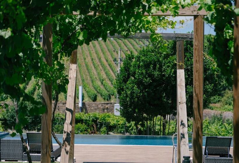 교외 호텔 Quinta Vale De Sousa Douro Valley