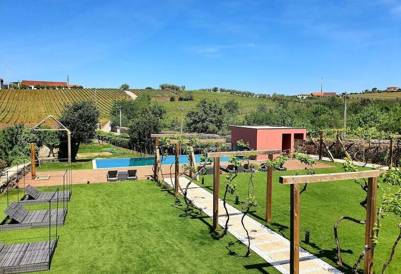 교외 호텔 Quinta Vale De Sousa Douro Valley