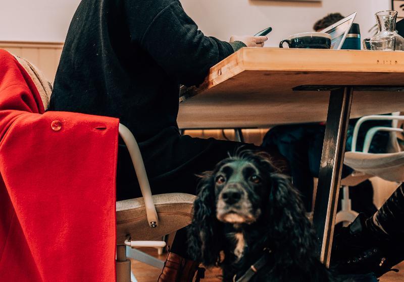 ホテル Selina Margate