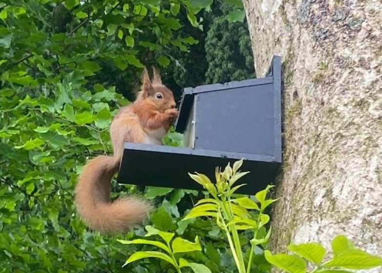 호텔 The King S Head