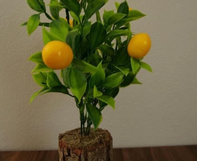 Li̇mon Otel Kiyiköy