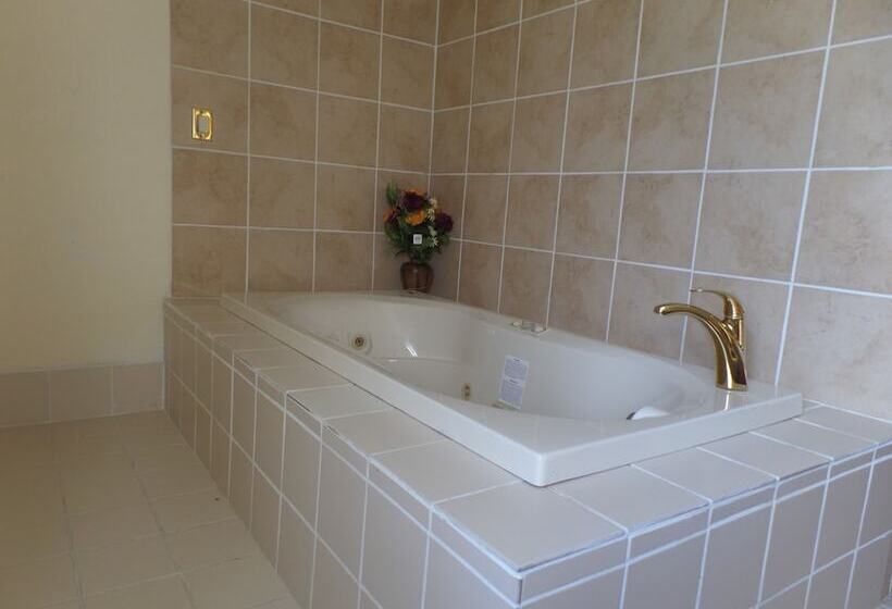 فندق على الطريق Rodeway Inn