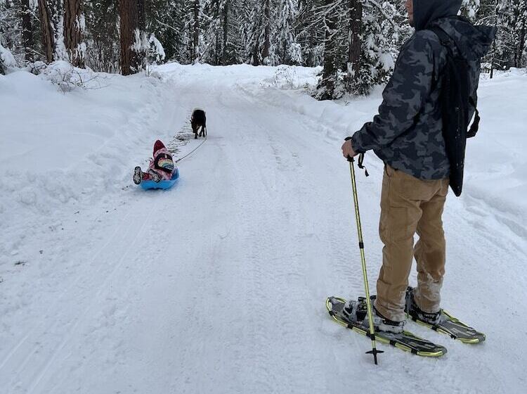 فندق على الطريق Cashmere Inn