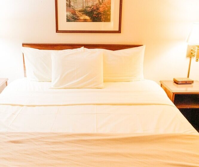 فندق على الطريق Quincy Inn And Suites