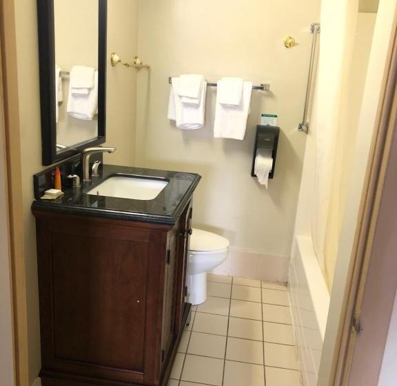 فندق على الطريق Rodeway Inn