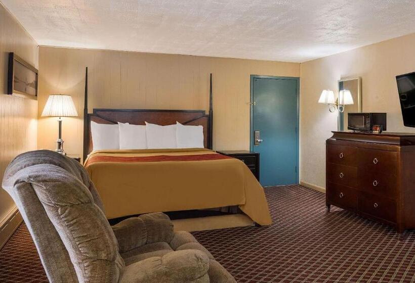 فندق على الطريق Rodeway Inn