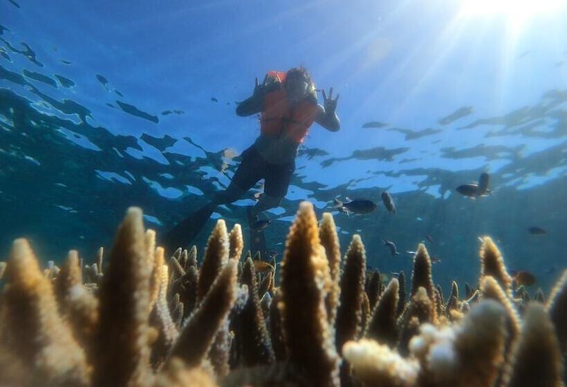 Natuna Dive Resort