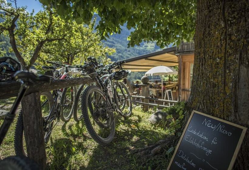 Naturhotel Saalerwirt